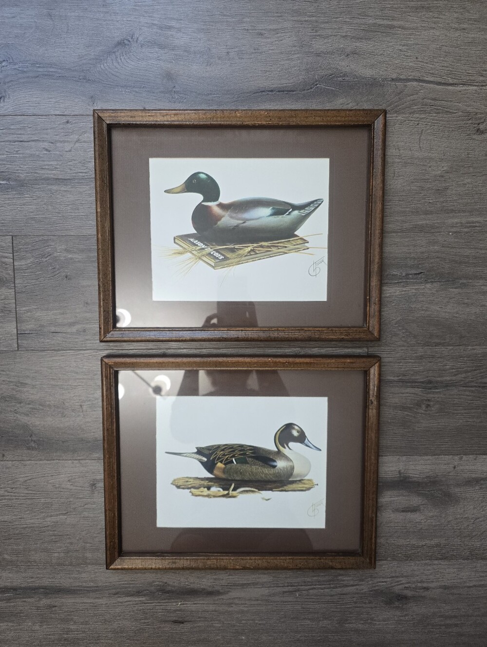 1970s framed lithograph art prints by artist Leonard Fisher Mason Duck Decoys